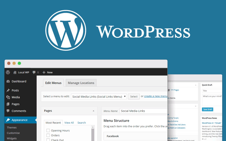 WordPress Web Designers 
